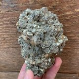 Mexican Pyrite Cluster (C-57)