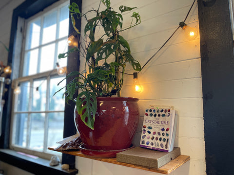 Summer 2025 Letter to Customers