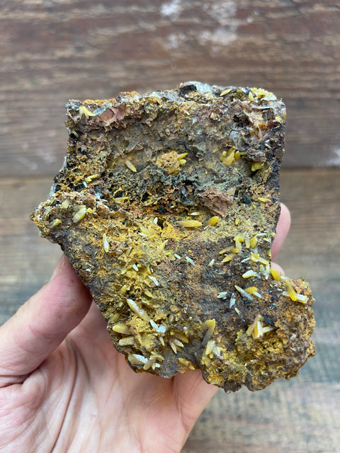 Wulfenite - Enchanted Crystal