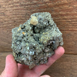 Mexican Pyrite Cluster (C-56)