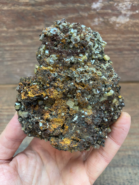 Wulfenite - Enchanted Crystal