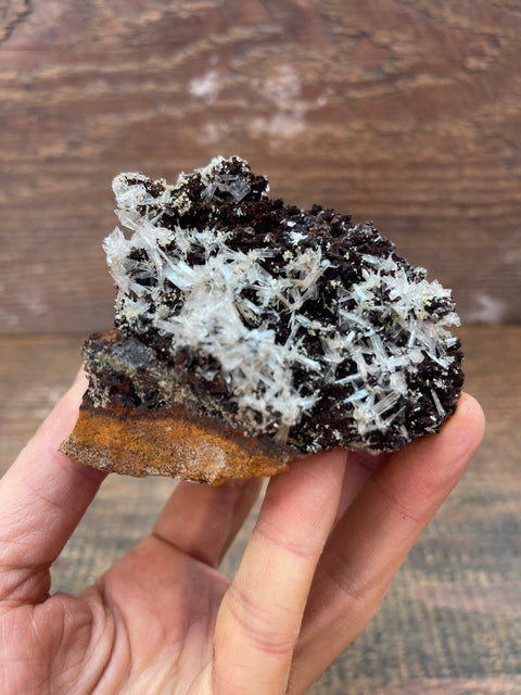 Hemimorphite - Enchanted Crystal