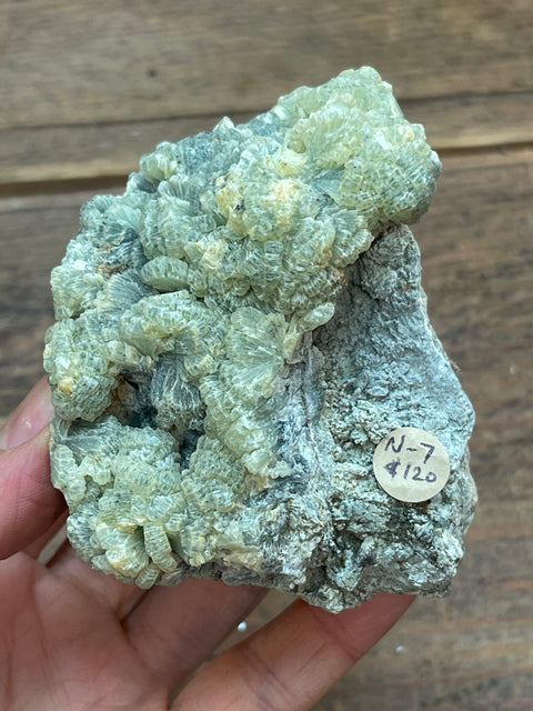 Prehnite - Enchanted Crystal