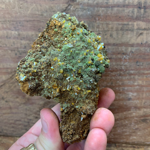 Wulfenite - Enchanted Crystal