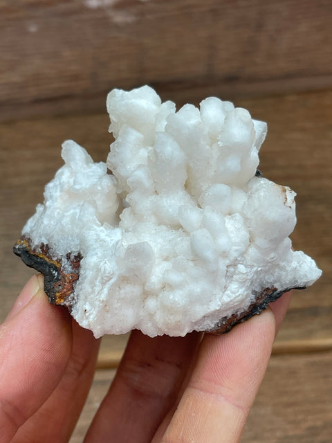 Mexican Aragonite - Enchanted Crystal