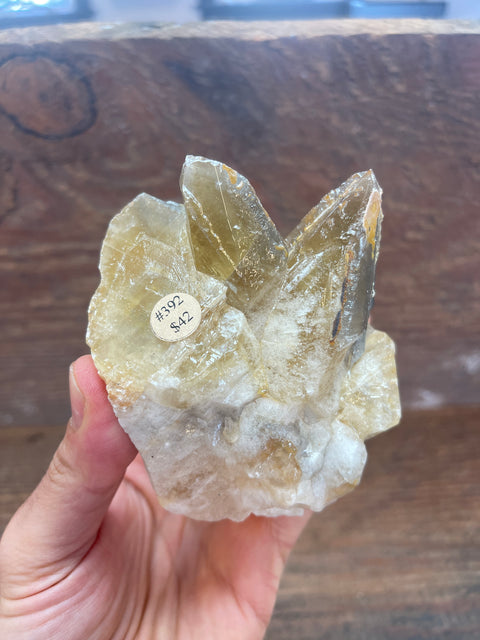 Moroccan Calcite - Enchanted Crystal