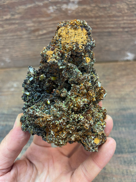 Wulfenite - Enchanted Crystal