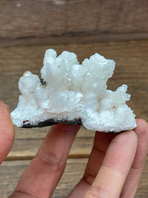 Mexican Aragonite - Enchanted Crystal