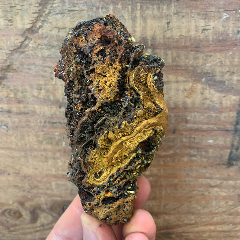 Wulfenite - Enchanted Crystal