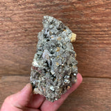 Mexican Pyrite Cluster (C-56)
