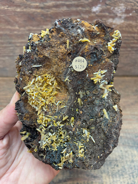 Wulfenite - Enchanted Crystal