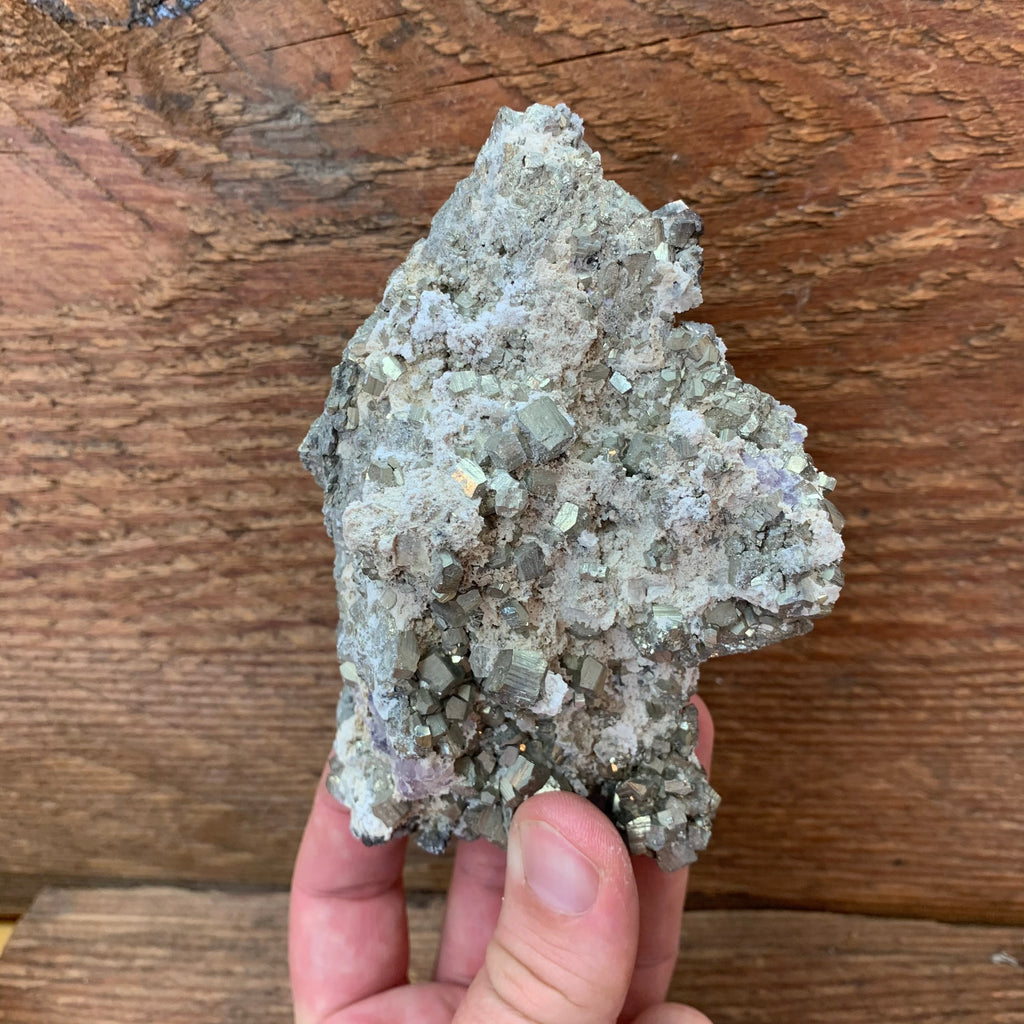 Mexican Pyrite Cluster (C-55)