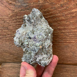 Mexican Pyrite Cluster (C-55)